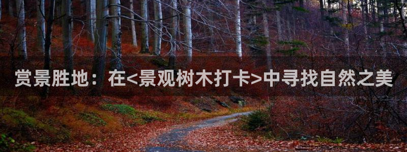 天顺娱乐周7O667：赏景胜地：在<景观树木打卡>中寻找自然之美
