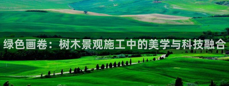 天顺娱乐浦 66 6