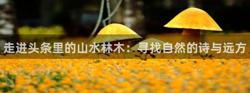 天顺娱乐已78778卧