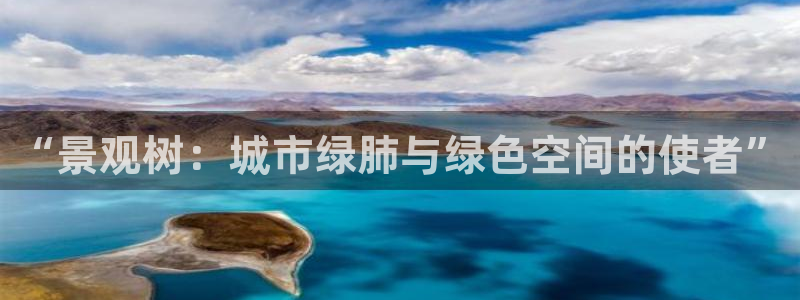 天顺娱乐厂孔pg22650