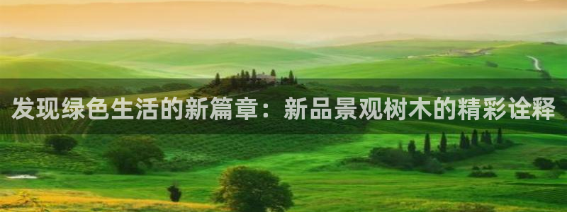 天顺娱乐于六七五一38