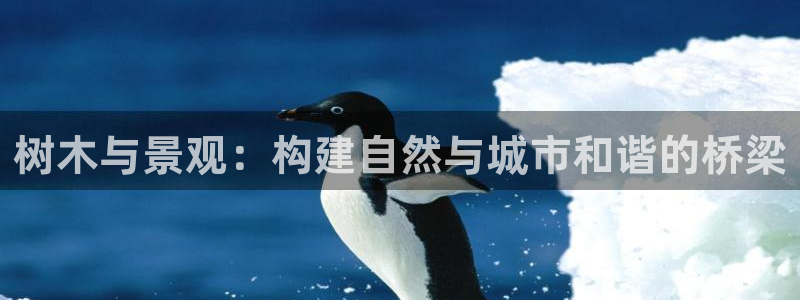 天顺娱乐派78778卧