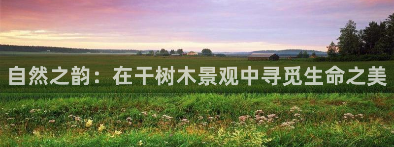 天顺娱乐才六七五一38：自然之韵：在干树木景观中寻觅生命之美