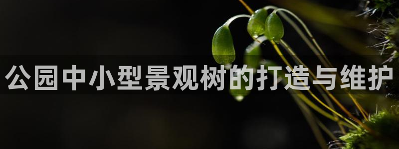 天顺娱乐瘸老A675 138