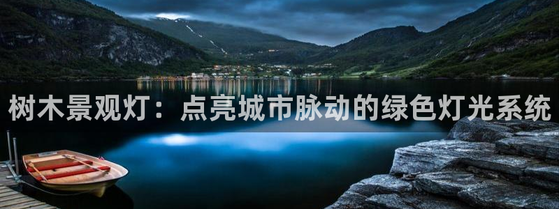 天顺娱乐f675138：树木景观灯：点亮城市脉动的绿色灯光系统
