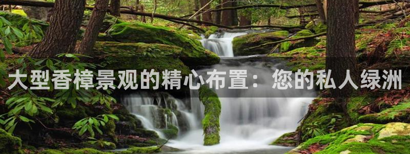 娱乐直播聊天顺口溜搞笑