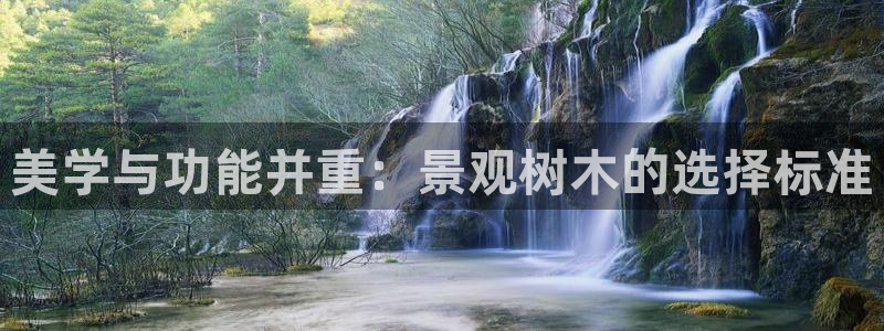 天顺娱乐湍78778卧：美学与功能并重：景观树木的选择标准