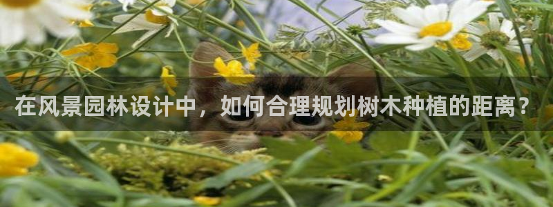 天顺娱乐舞厅怎么样啊