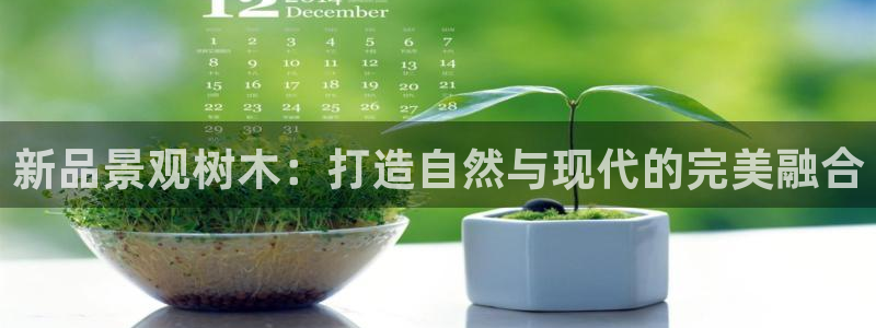 天顺娱乐彩票正规吗?