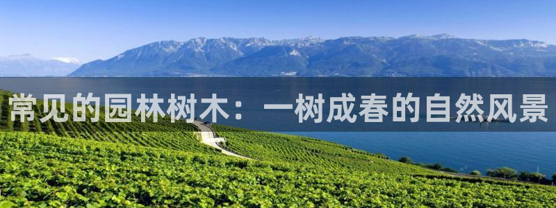 天顺娱乐蚁70 48扣