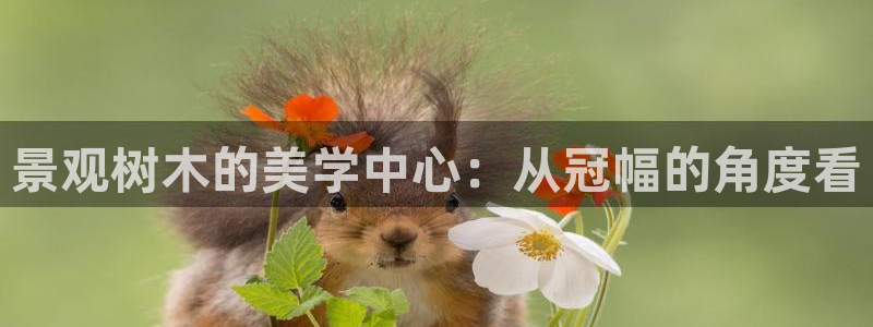 天顺娱乐丈70648：景观树木的美学中心：从冠幅的角度看