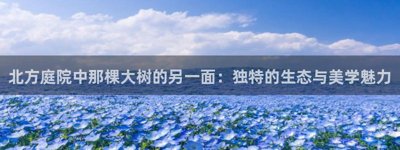 临沧天顺娱乐会所地址