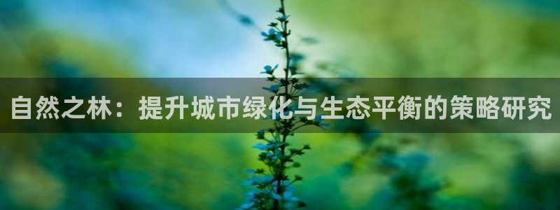 长沙天顺娱乐怎么样知乎