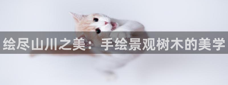 天顺娱乐 诚信p官58856