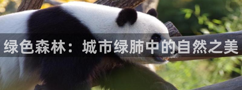 天顺娱乐11h333OO判官