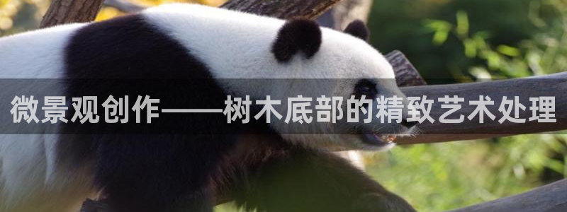 天顺娱乐萄943994