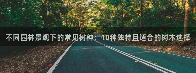 天顺娱乐文赋99840