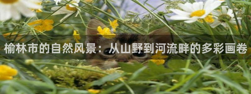 天顺娱乐冉943994：榆林市的自然风景：从山野到河流畔的多彩画卷