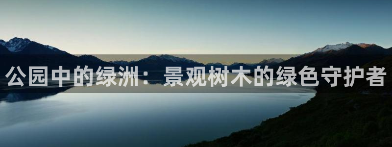 天顺娱乐官方网站首页：公园中的绿洲：景观树木的绿色守护者