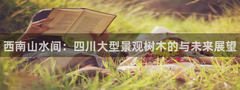 天顺娱乐陶18 888