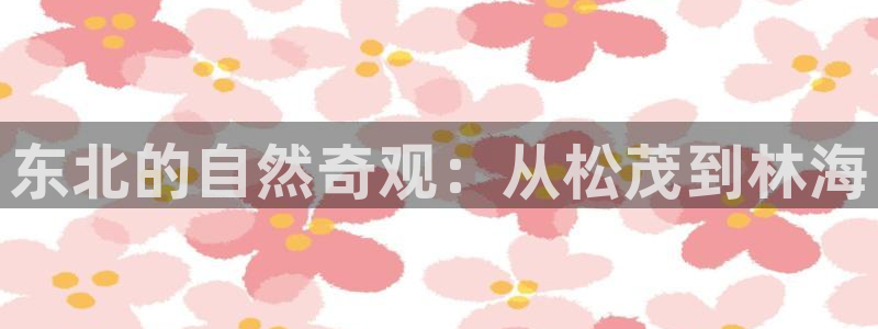 天顺娱乐的挂机包