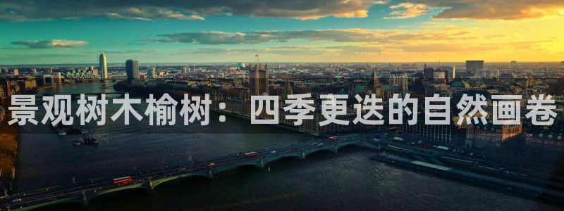 天顺娱乐揭78778