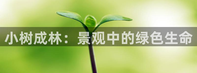 天顺娱乐母来70648：小树成林：景观中的绿色生命