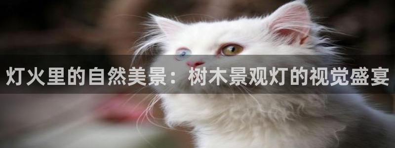 天顺娱乐累履判p29999：灯火里的自然美景：树木景观灯的视觉盛宴