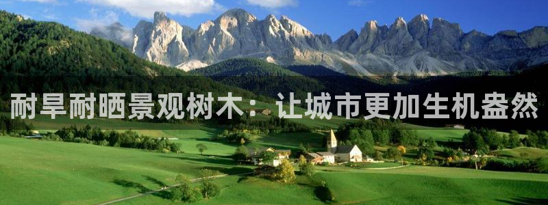 天顺娱乐车18 888